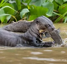 ополнительное фото тура 