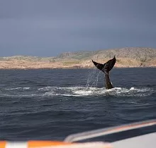 ополнительное фото тура 