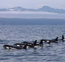 ополнительное фото тура 