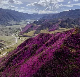 Тур Цветение маральника в малой группе за 3 дня 