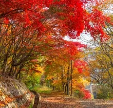 ополнительное фото тура 