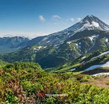 ополнительное фото тура 