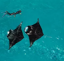 Фото дня 3 тура Туры на Мальдивы из Москвы 