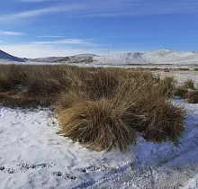 ополнительное фото тура 