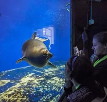 ополнительное фото тура 