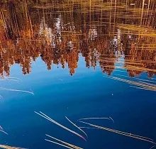 ополнительное фото тура 