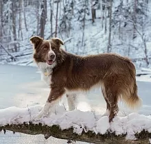 ополнительное фото тура 