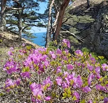 ополнительное фото тура 