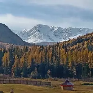 Фото отзыва