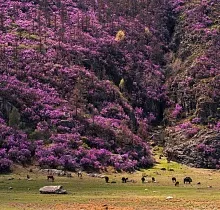 ополнительное фото тура 