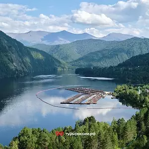 Фото отзыва