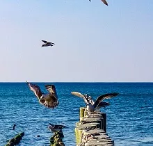 ополнительное фото тура 