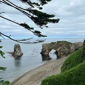 Фото отзыва