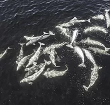 ополнительное фото тура 