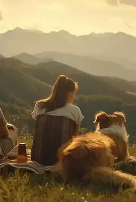 Путешествовать с питомцами в России