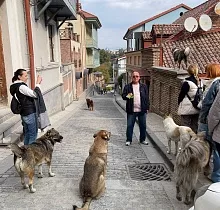 ополнительное фото тура 