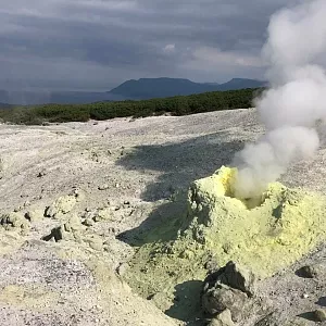 Фото отзыва