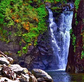 Тур ТУР НА ТЕЛЕЦКОЕ ОЗЕРО