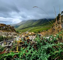 ополнительное фото тура 