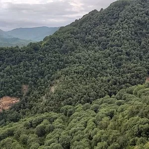 Фото отзыва