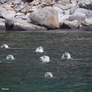 Фото отзыва