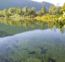 ополнительное фото тура 