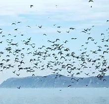 ополнительное фото тура 