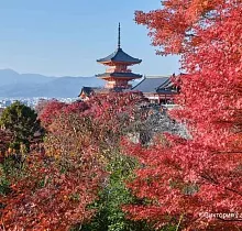 Фото дня 9 тура ПОЛНЫЙ ТУР ПО ЯПОНИИ 15 ДНЕЙ