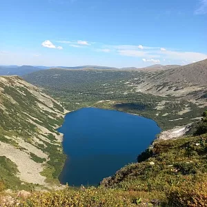 Фото отзыва