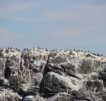 ополнительное фото тура 