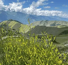 ополнительное фото тура 