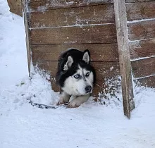 ополнительное фото тура 