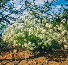 ополнительное фото тура 