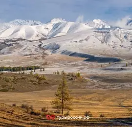 Тур Большой Алтай