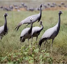 ополнительное фото тура 