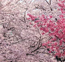 ополнительное фото тура 