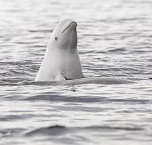 ополнительное фото тура 