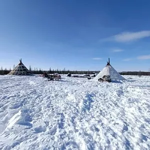 Фото отзыва