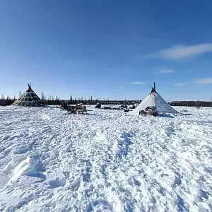Фото отзыва