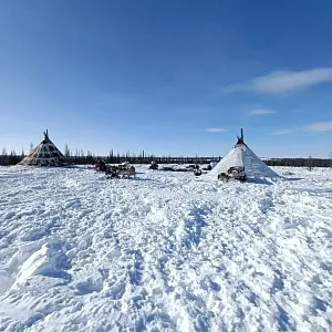 Фото отзыва