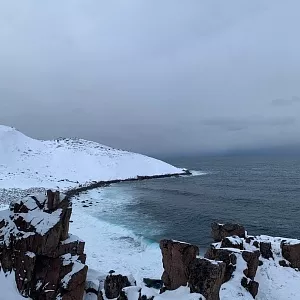 Фото отзыва