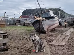 Осень в Териберке