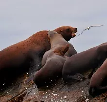 Фото дня 4 тура «Приморский микс» сезон май-сентябрь