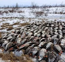 ополнительное фото тура 