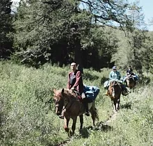 ополнительное фото тура 