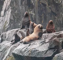 ополнительное фото тура 