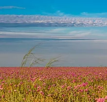 Фото дня 2 тура Казахстан: великолепный Мангистау