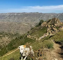 ополнительное фото тура 