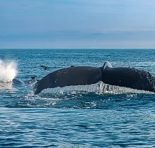 ополнительное фото тура 