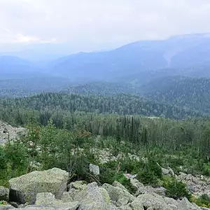 Фото отзыва